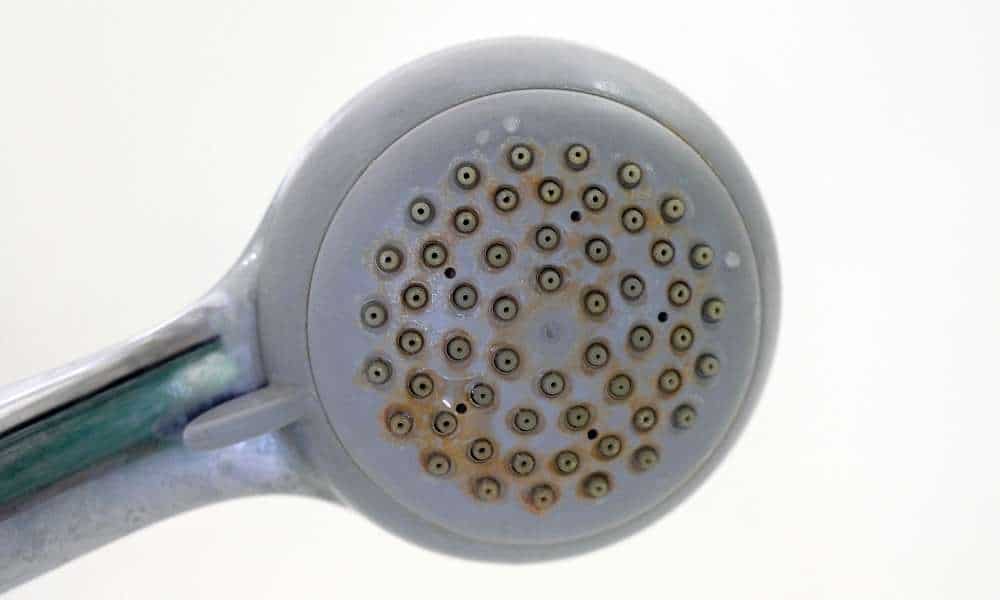 How to remove hard water stains from the showerhead