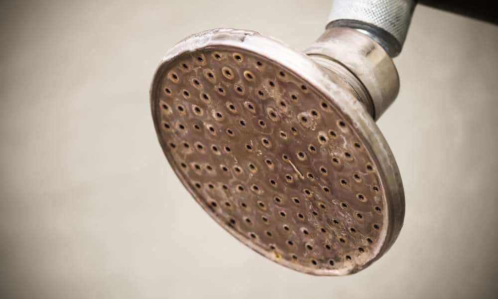 The reason the shower head is dirty