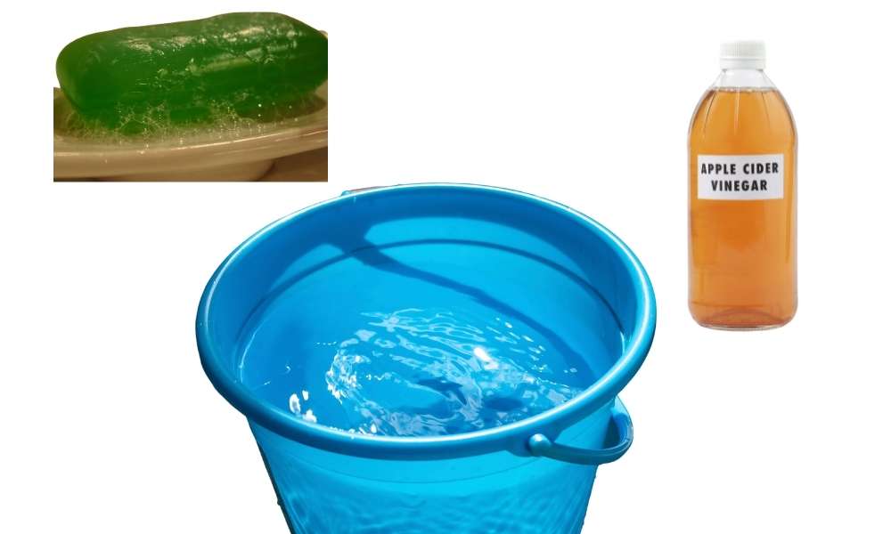 Add One Bucket of Hot Water Dish Soap And Vinegar