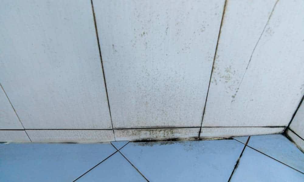 What's The Harm if The Mold Falls on The Shower Grout