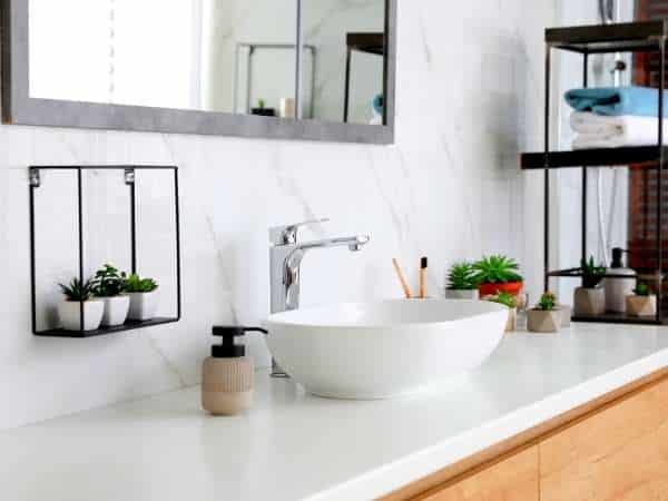 Bathroom Counter Decorating With Plants