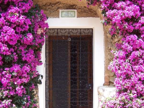 Decorate The Door With Flowers