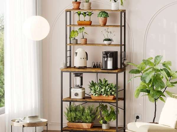 Decorate The Rack With Plants