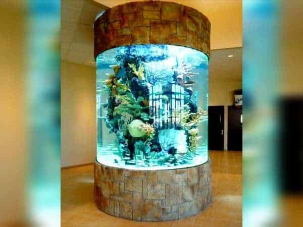 Under Sea Design on Pillars