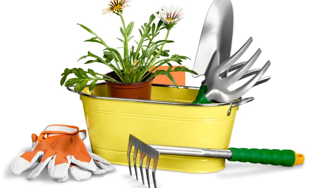 Best Garden Tools For Seniors