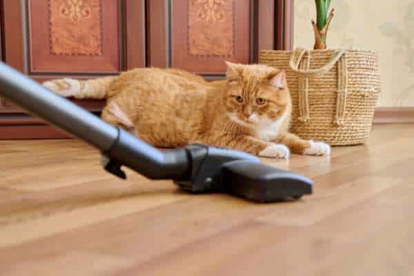 Best Cordless Vacuum Cleaners for Pet Hair