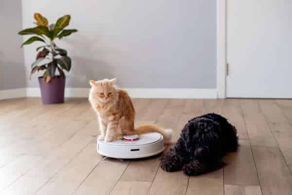 Types of Vacuum Cleaners for Pet Hair