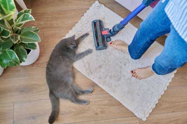 Best Upright Vacuum Cleaners for Pet Hair