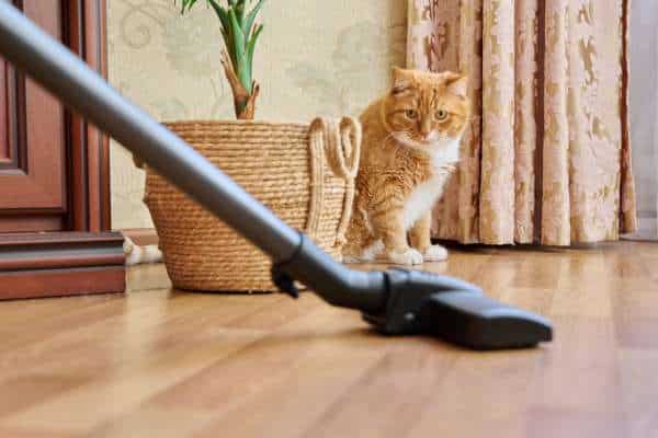 Best High-End Vacuum Cleaners for Pet Hair