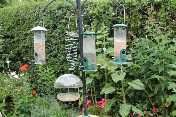 Types of Bird Cage Feeders