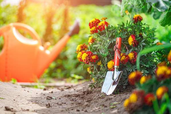 Investing in a Quality Garden Tool Set is Important