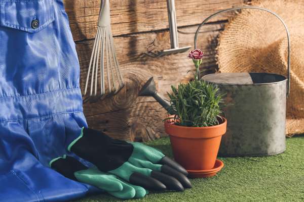 Features to Look for in a Garden Tool Set