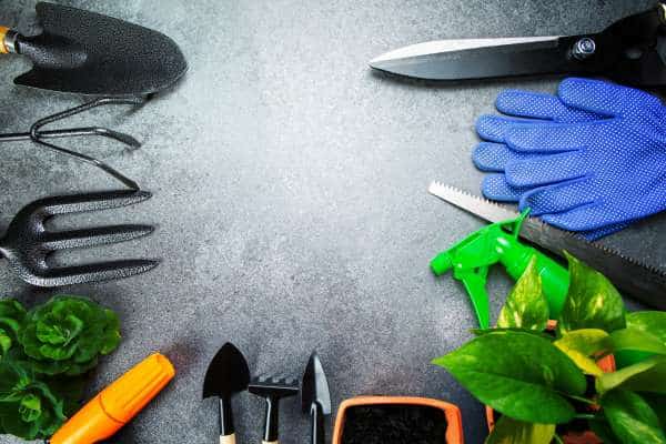 Choose the Right Garden Tool Set for Your Needs