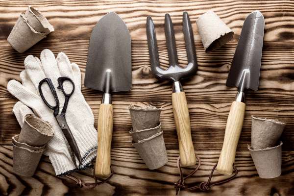 Innovative Garden Tools That Make Gardening Easier