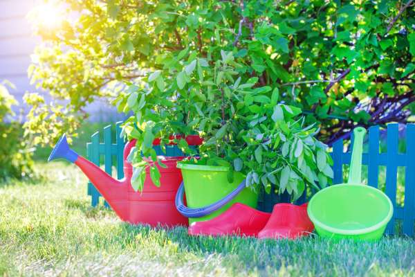 Budget-Friendly Garden Tool Sets for Beginners