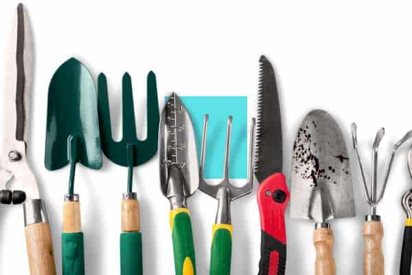 Key Features of Senior-Friendly Garden Tools