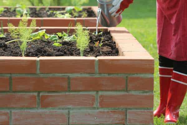 Raised Garden Beds and Planters