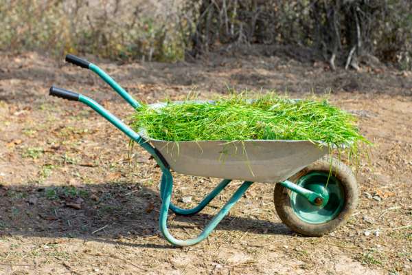 Garden Carts and Wheelbarrows