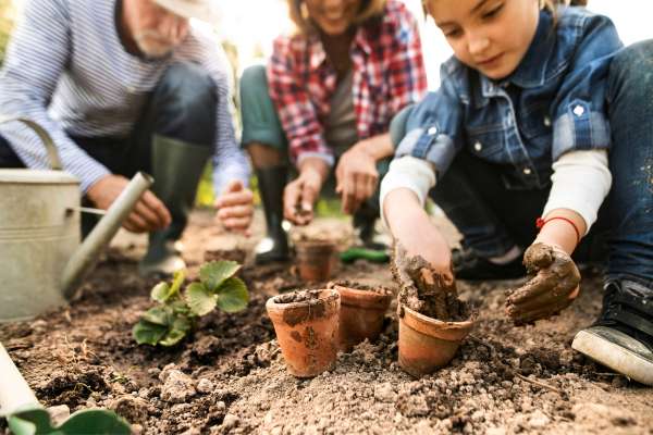 Maintenance and Care of Garden Tools