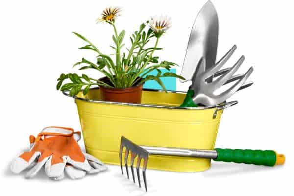 High-Tech Garden Tools for Modern Gardening