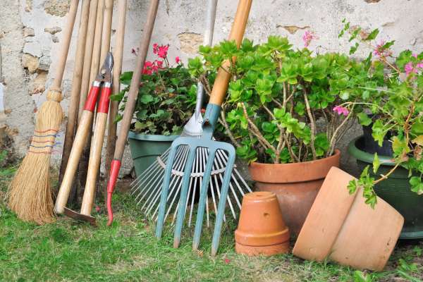 Storage and Maintenance Tips for Garden Tools