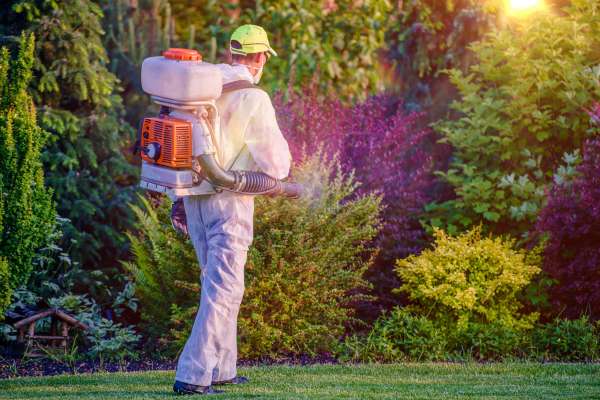 Best Tools for Weeding and Pest Control