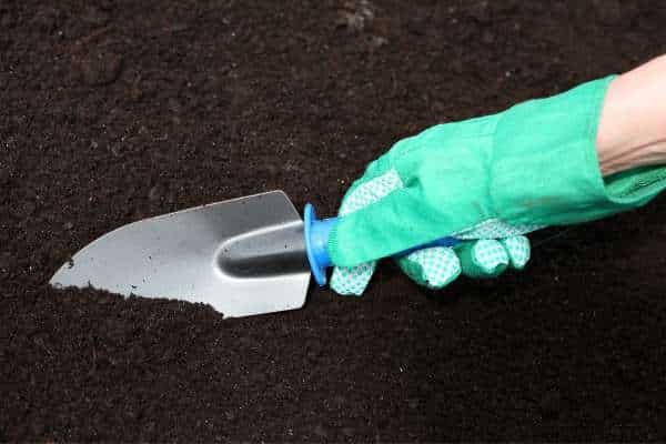 Best Tools for Soil Preparation