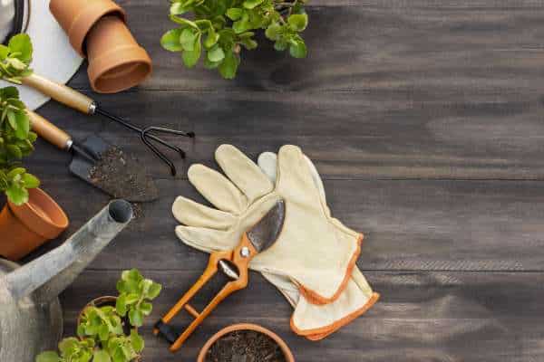 The Importance of High-Quality Garden Tools