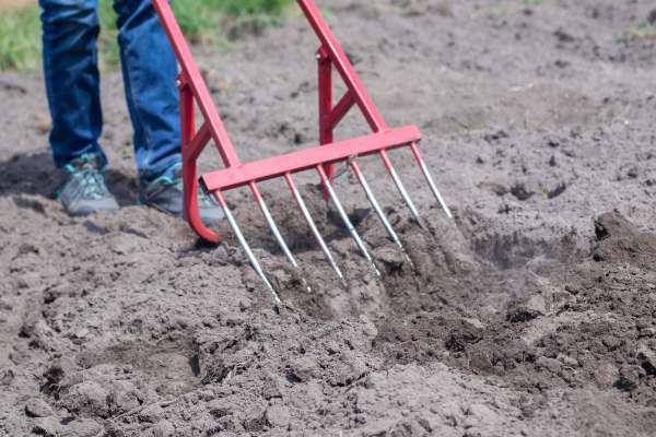 Garden Fork: Loosening Tough Weeds