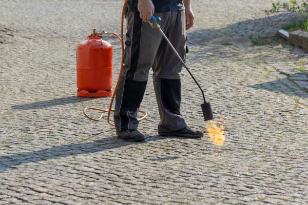 Weed Torch: Chemical-Free Wedding