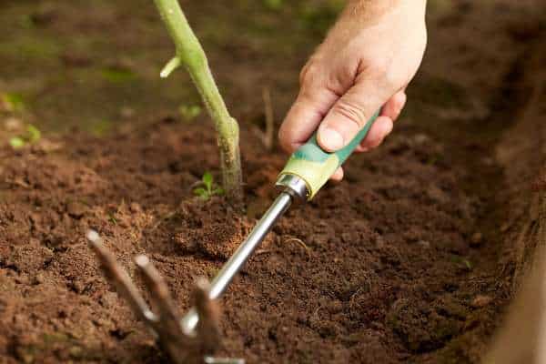 Weeding Hoe: Specialized and Practical