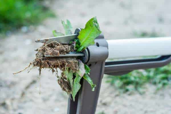 Ergonomic Weeding Tools: Comfort and Efficiency